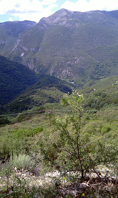 Rückfahrt auf der alten Via Egnatia