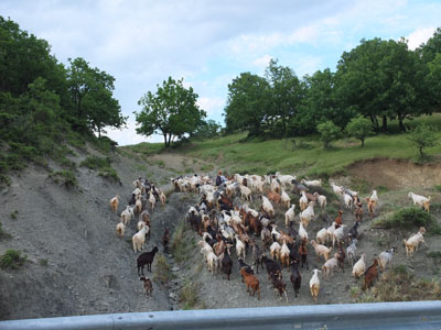 ... und weg sind sie!